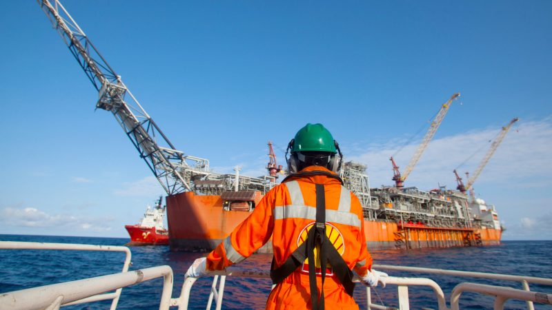 shell offshore gato do mato sismica