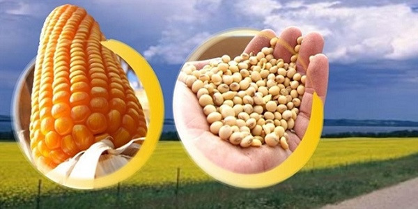 milho - soja - importações