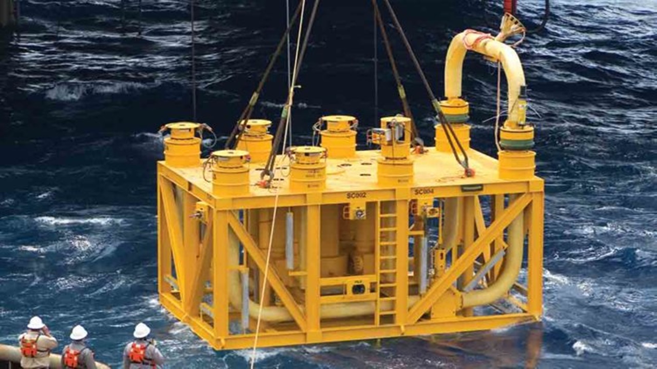 ANM - árvores de natal molhadas