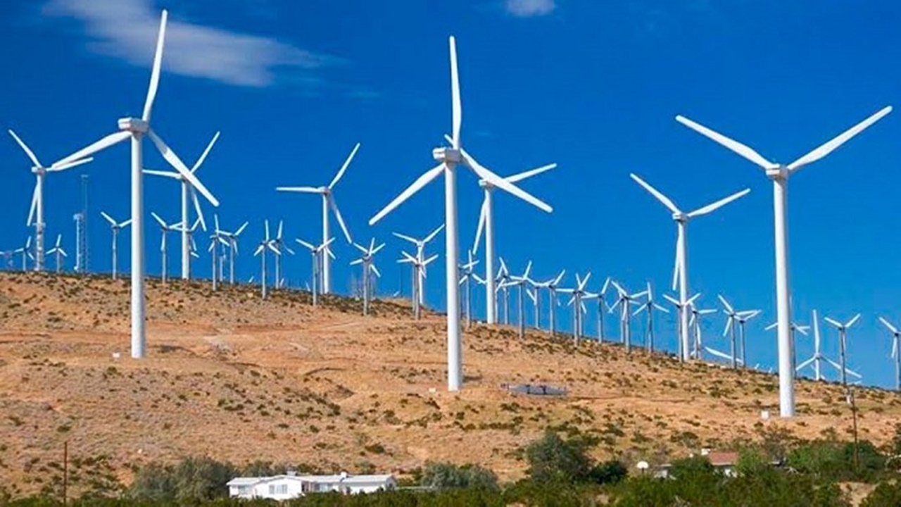 nordeste - usinas - petrobras - eólicas