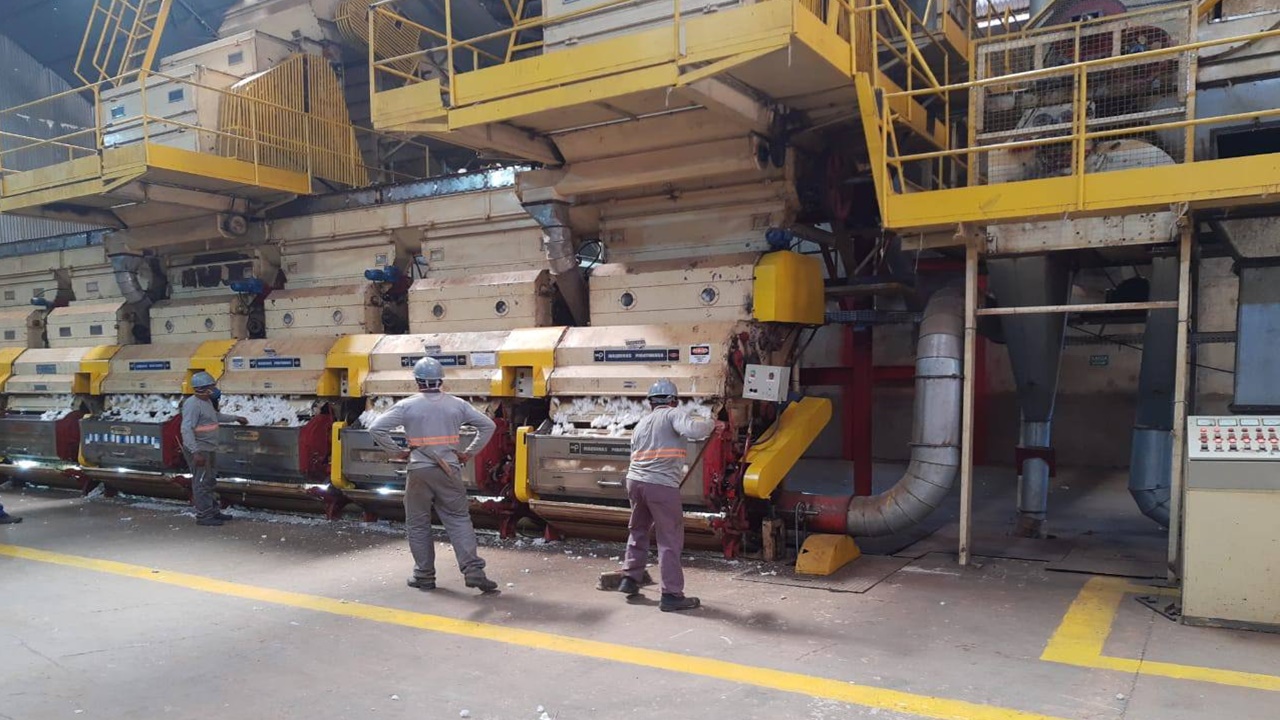 emprego - agrícola -