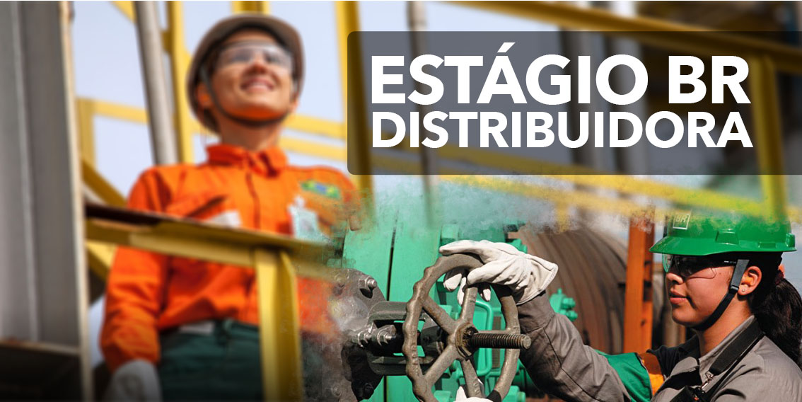 BR Distribuidora – estágio – sem experiência