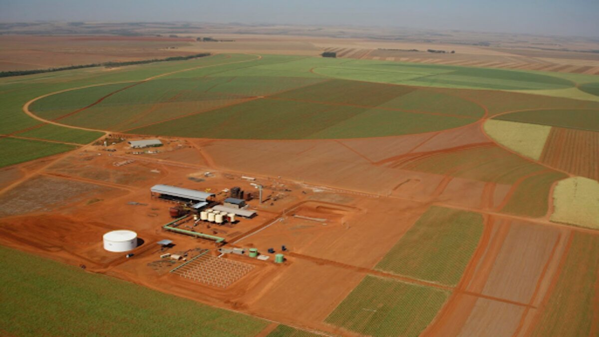 Mesmo sendo uma empresa bastante conceituada em energia renovável, a Bioenergia do Brasil não conseguiu faturar o suficiente para sair da crise.