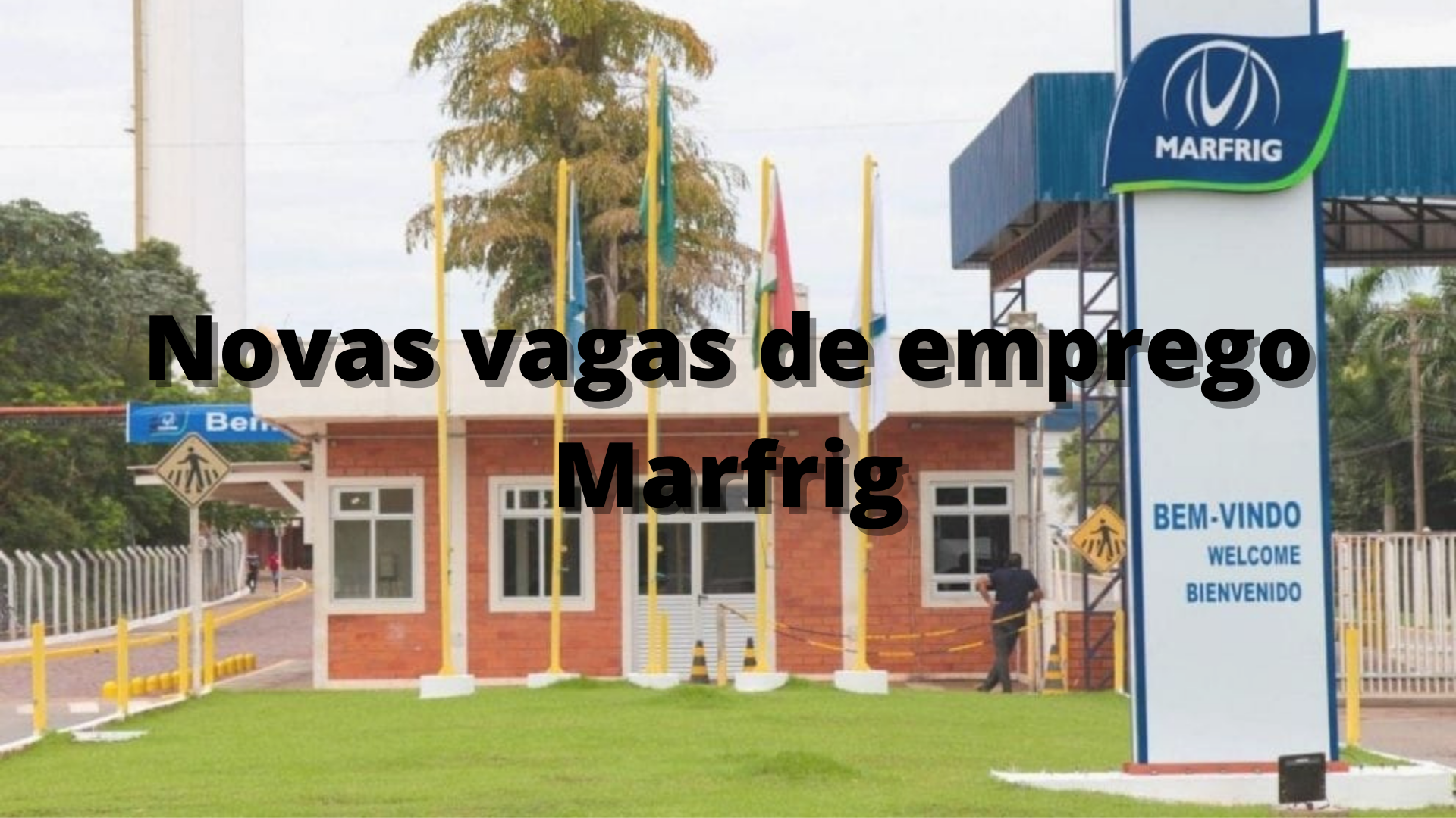 Emprego – vagas de emprego