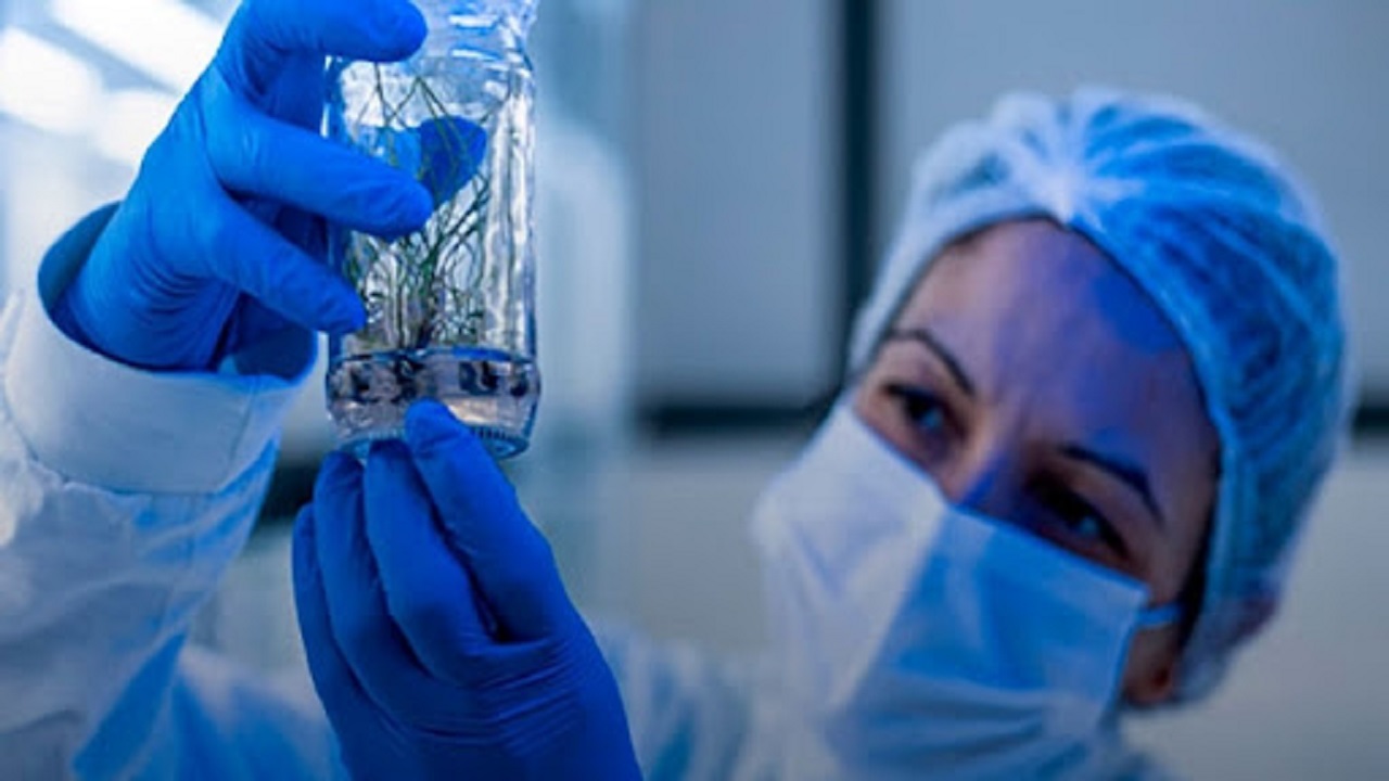 Unicamp - etanol - cana de açúcar -pesquisadores