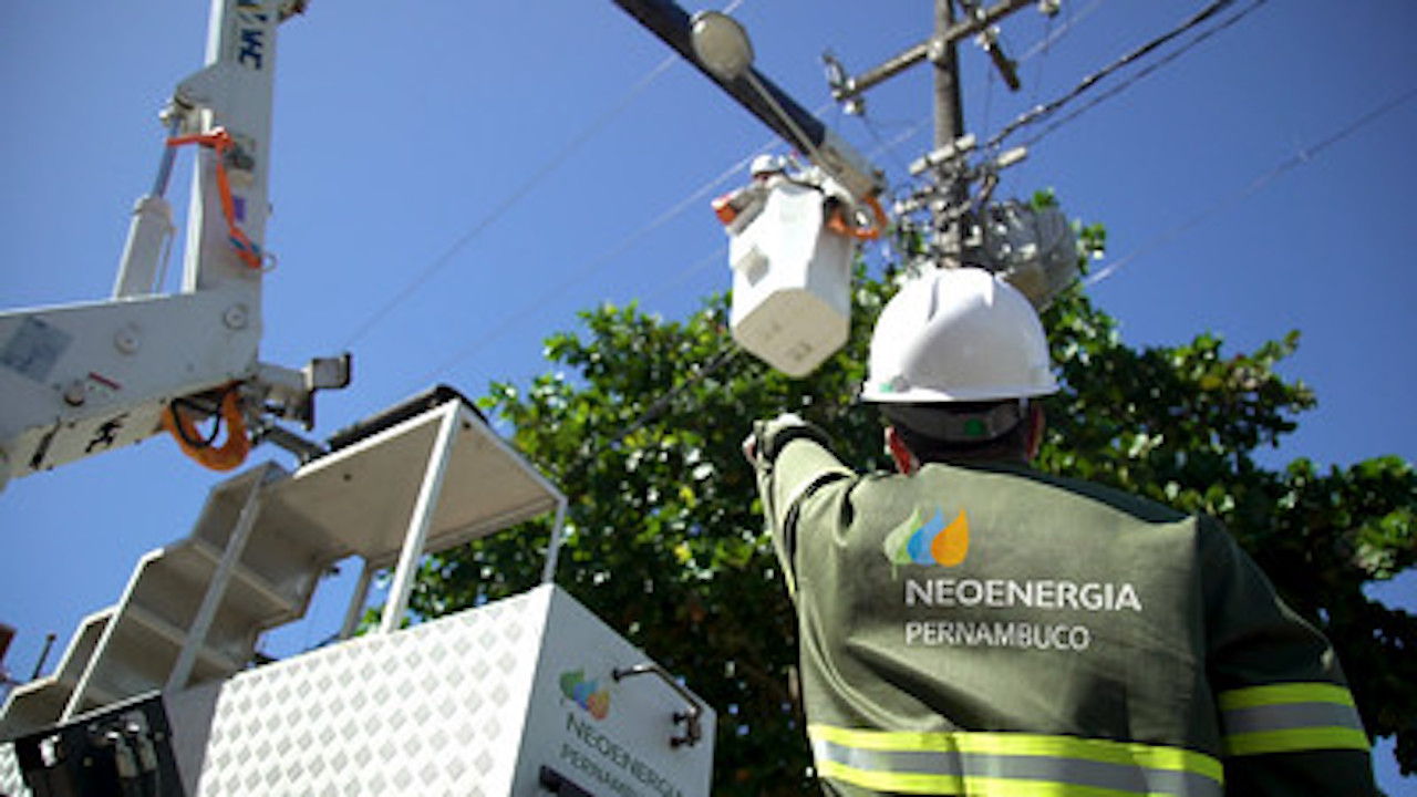 energia - Neoenergia - gato na luz -