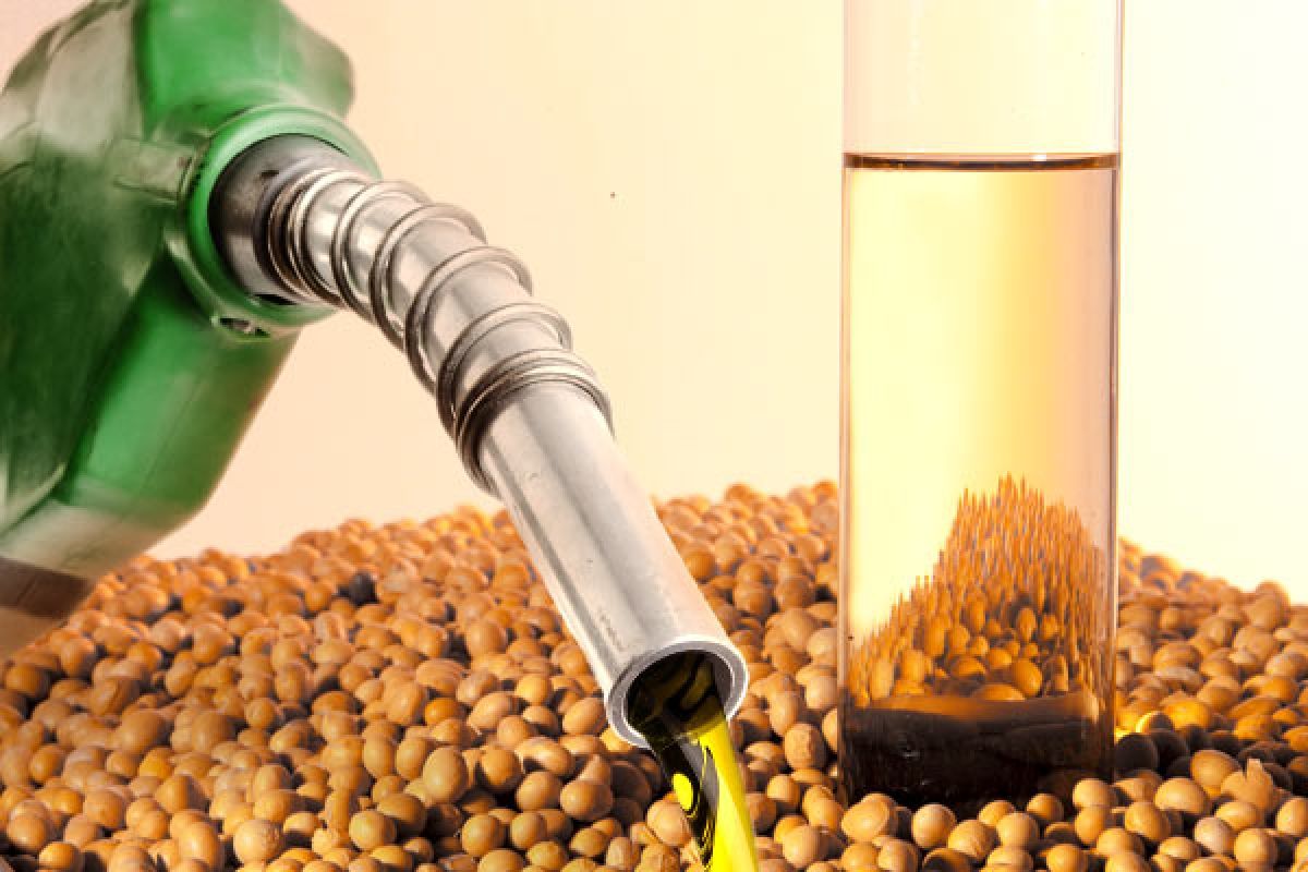 sustentabilidade biodiesel combustível efeito estufa óleo de cozinha Binatural