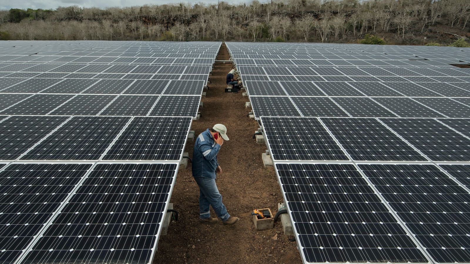 Usinas solares são confirmadas no Brasil pela Dasa