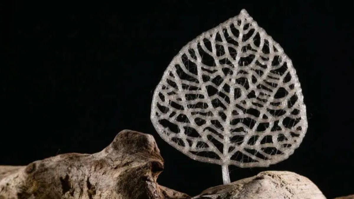 indústria plástico biomassa PET embalagens