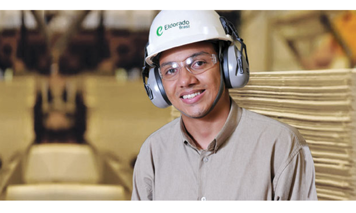 Usina, emprego, técnico