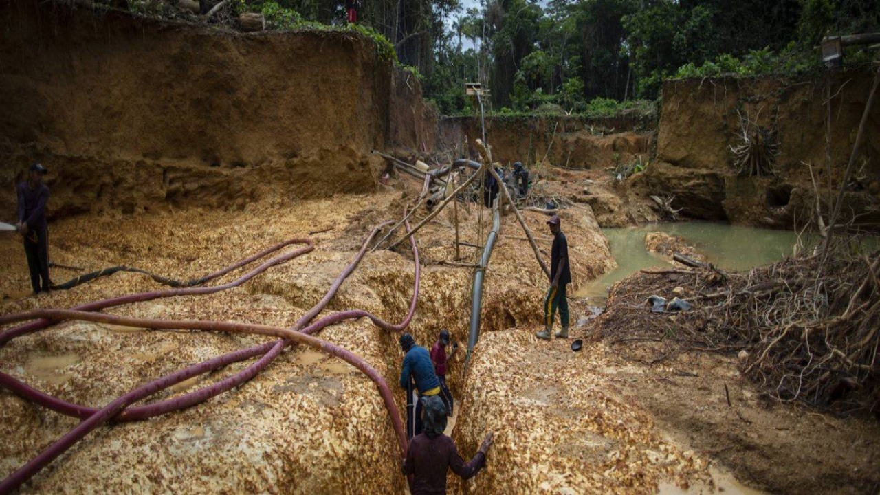 potássio - amazonas - EUA -