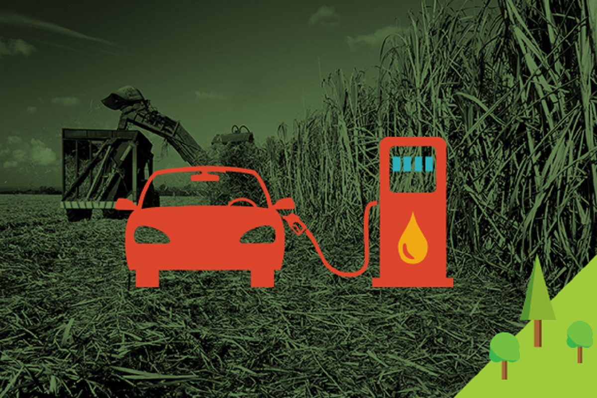 combustível, sustentável, usinas, renováveis