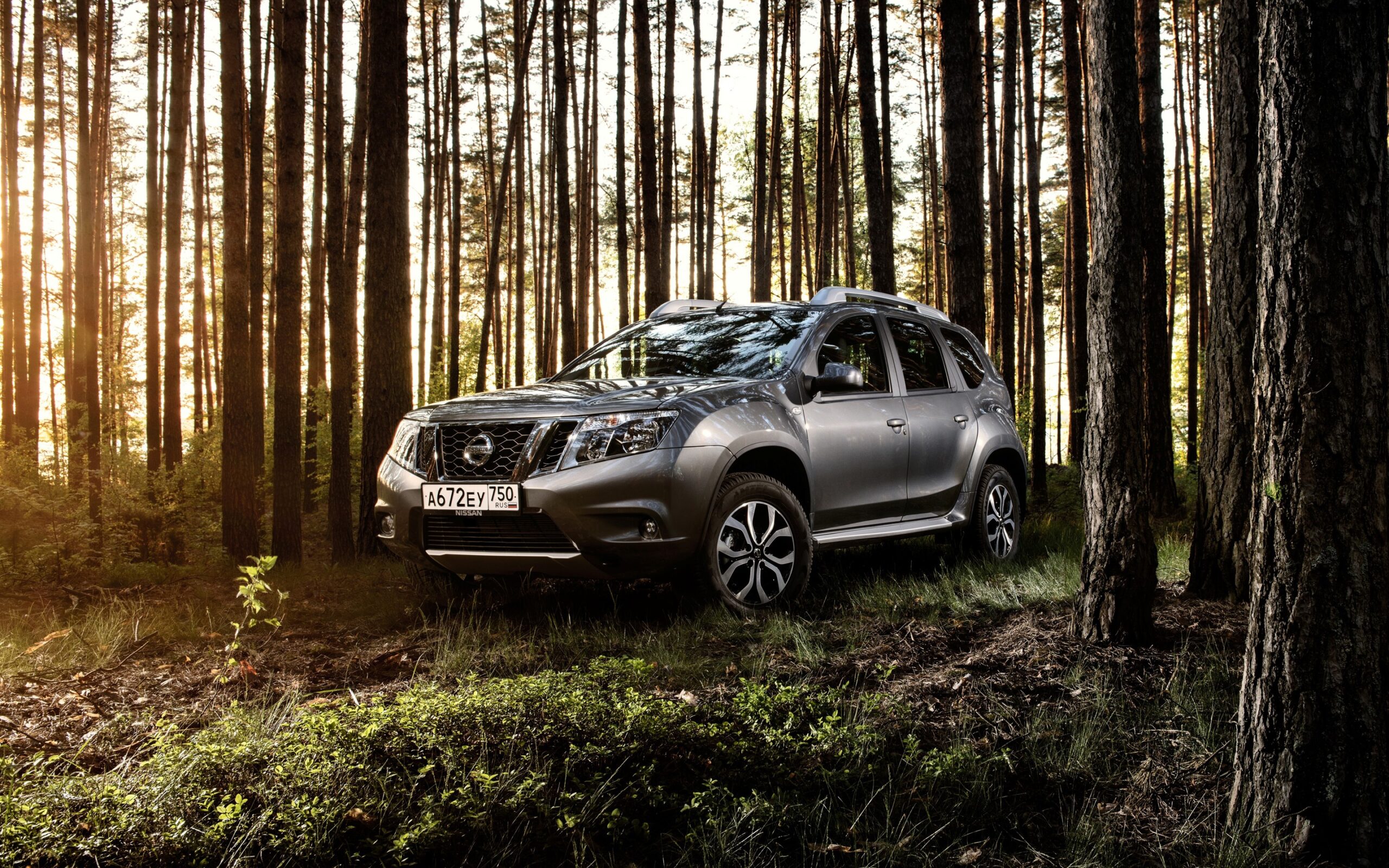 Atraindo novos olhares em todo o mundo, os carros elétricos estão fazendo com que empresas se juntem para elaborar novo projeto sustentável, que visa o uso de árvores para desenvolver novas baterias, mirando em nova fonte de renda.