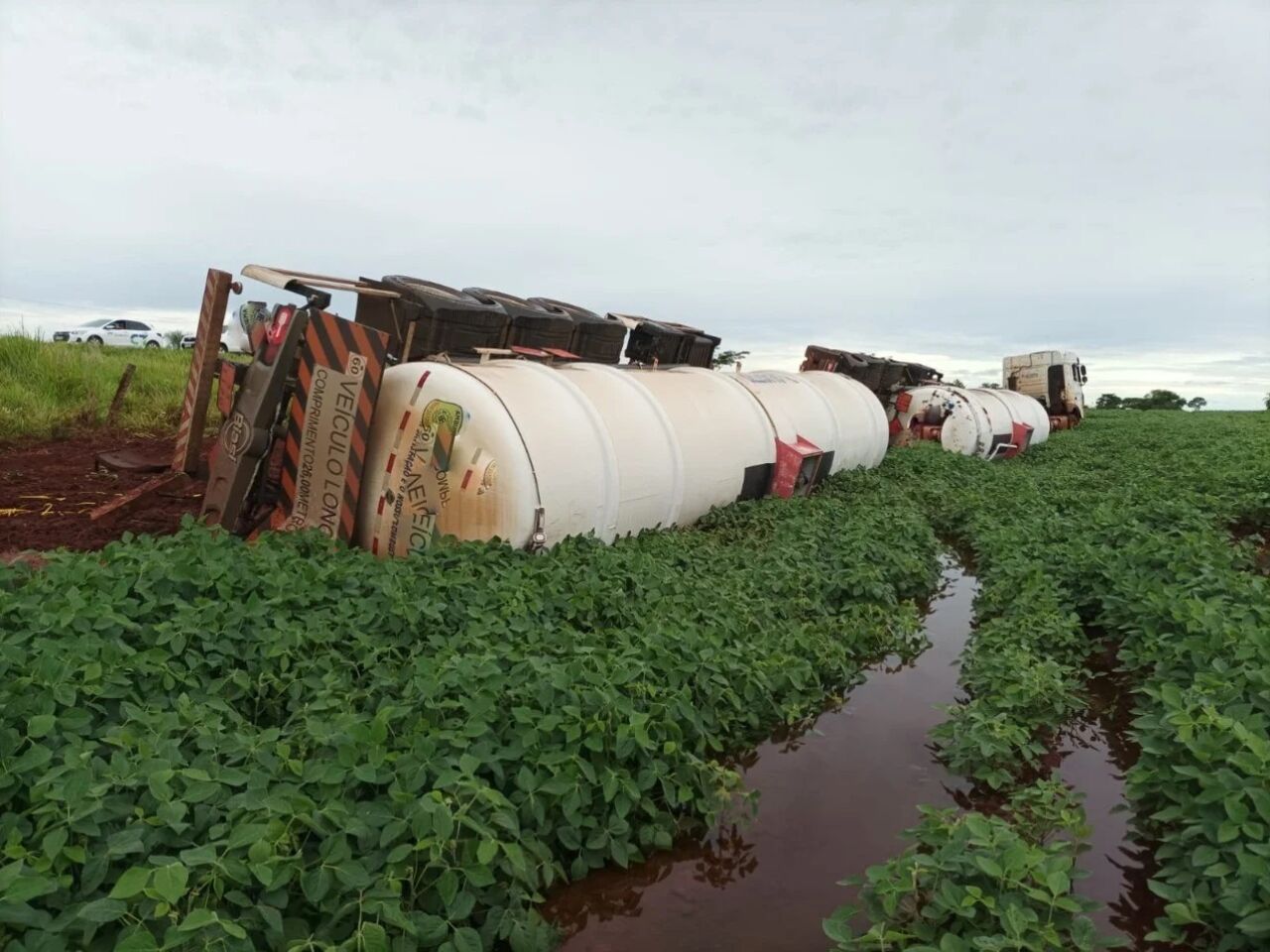 O derramamento de etanol nas regiões próximas ao município de Ivinhema, no Mato Grosso do Sul, causará fortes impactos à vegetação da área, conforme analisado. A PMA do estado atendeu o caso e a empresa responsável pelos danos terá que pagar uma multa no valor de R$ 25 mil.