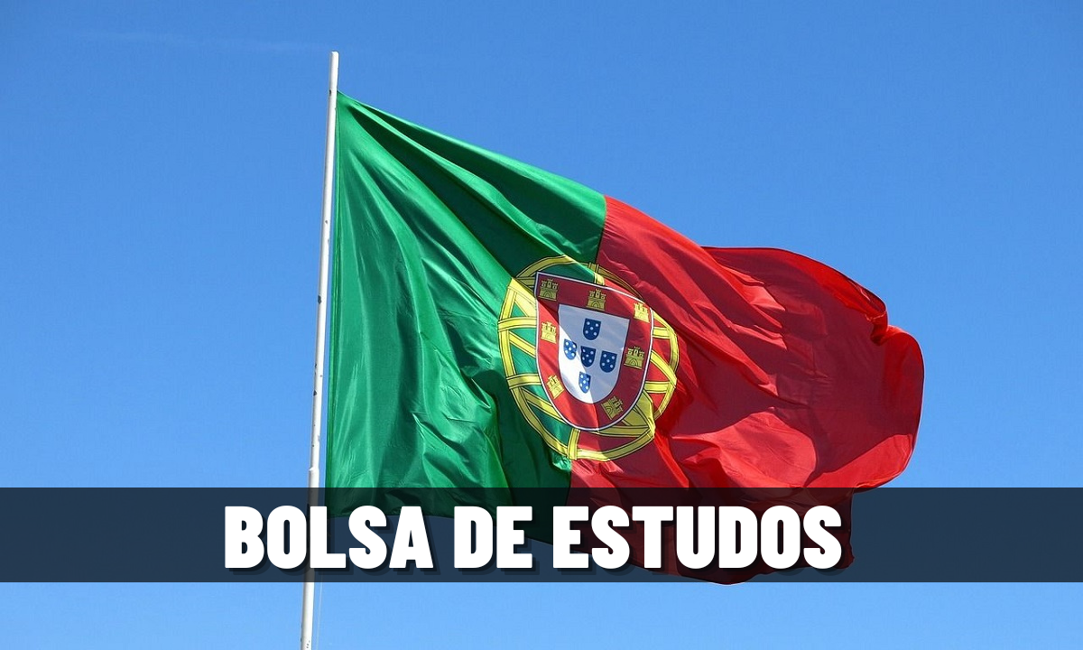 Universidade, Lisboa, cursos, bolsas de estudo