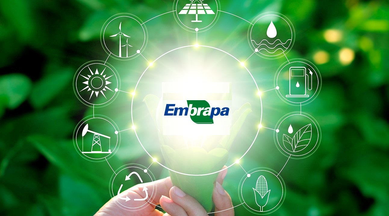 embrapa, concurso, vagas