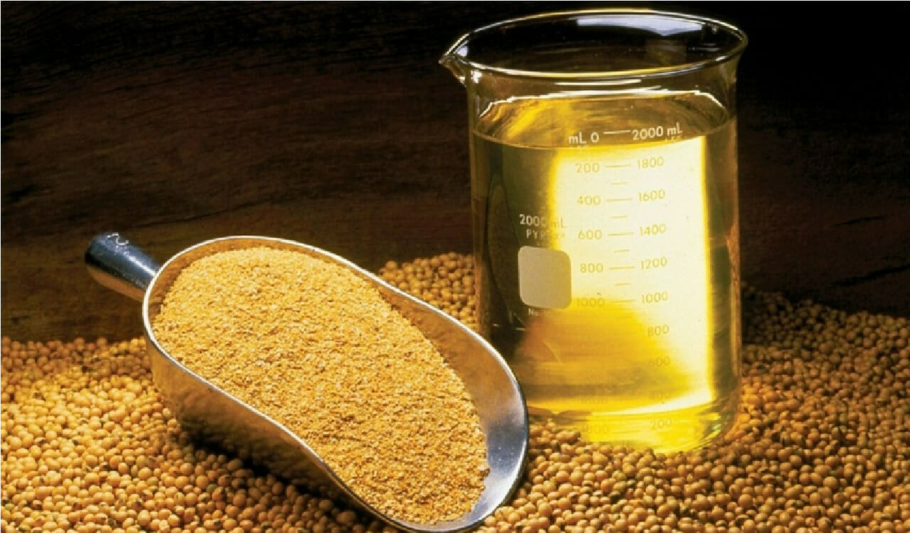 soja, combustível, biocombustível