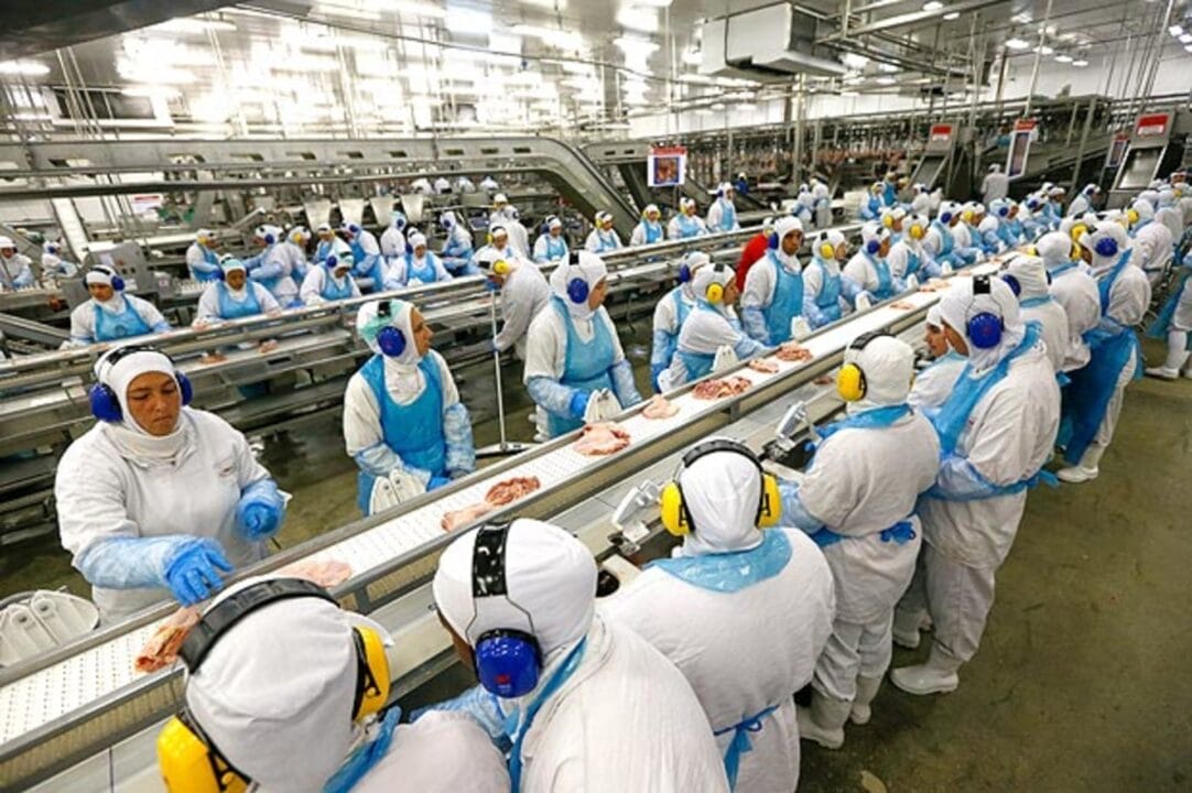 Seara abre 200 novas vagas de emprego para ajudante de armazém, conferente, analista de RH, Porteiro e mais!