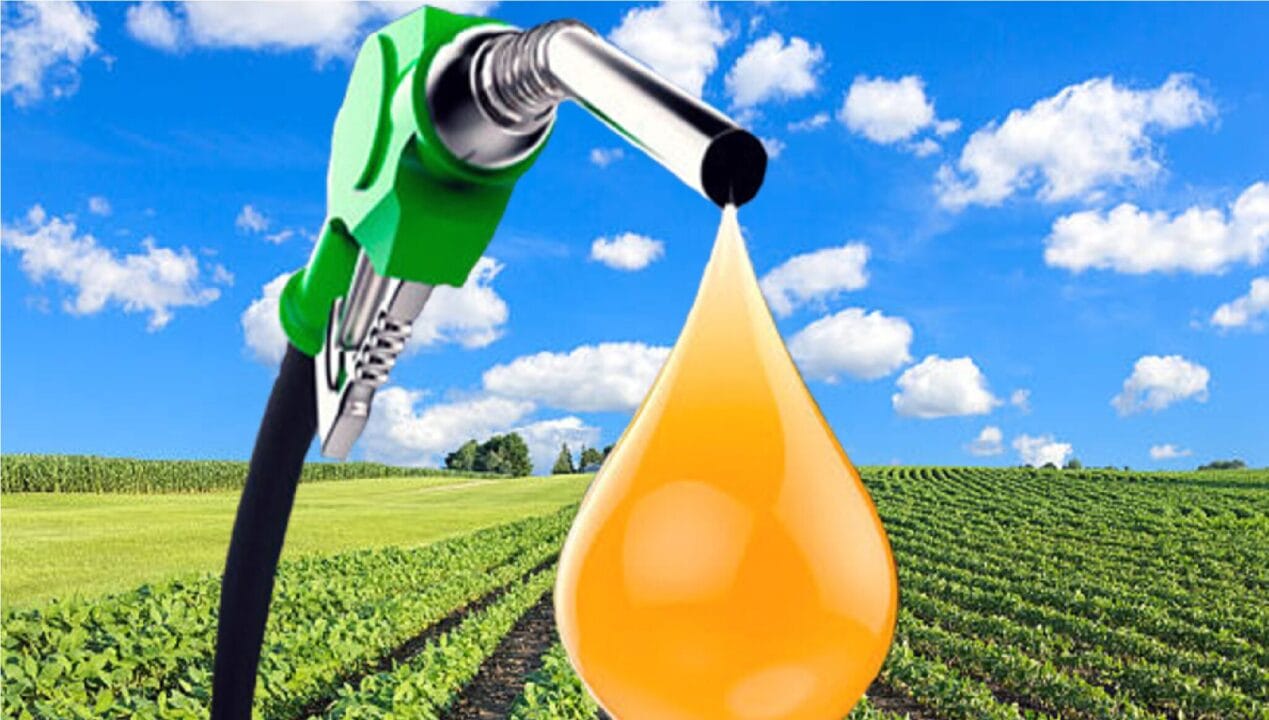 combustível, combustível sustentável, Brasil