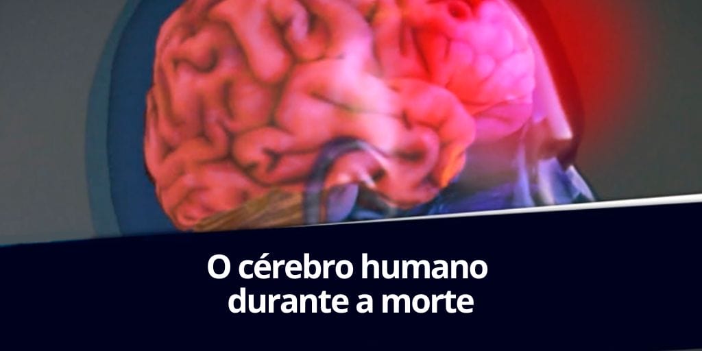 O acontece com o cérebro humano durante a morte? Descoberta revolucionária pode ter desvendado o segredo. (Imagem: reprodução)