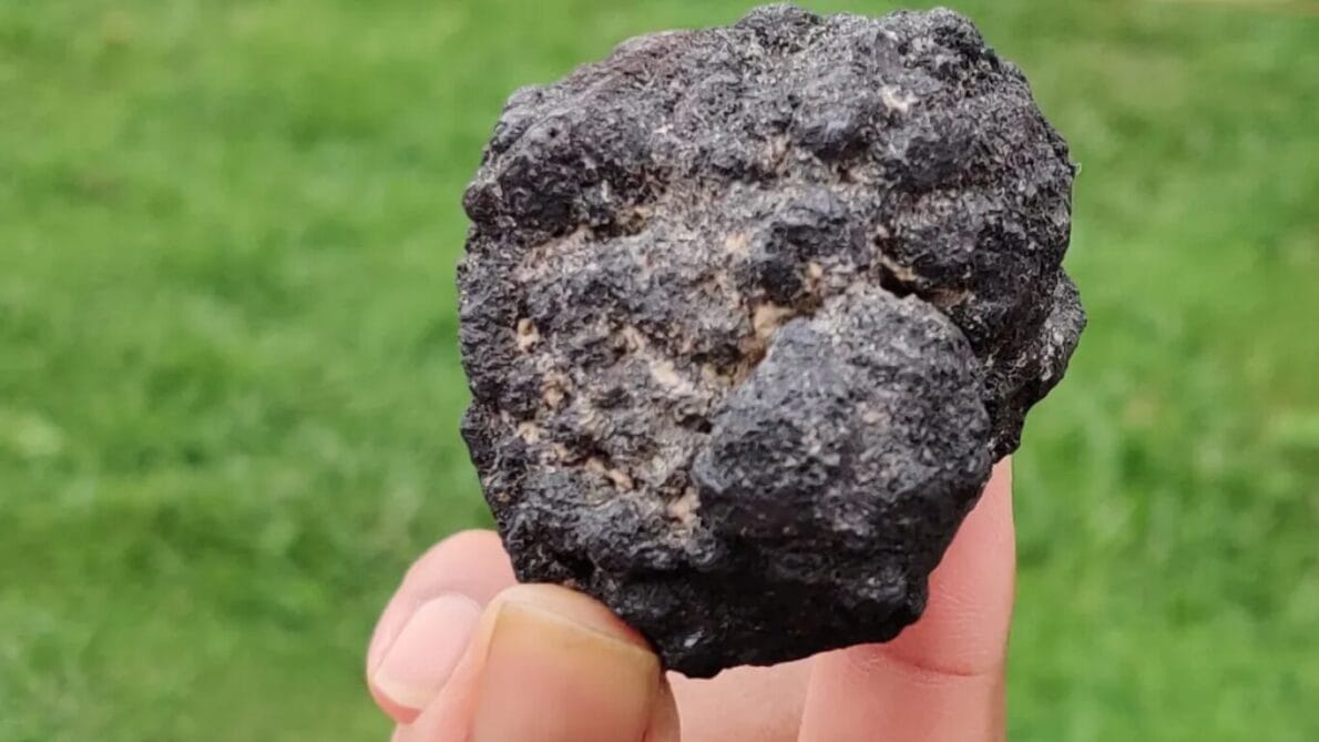 “mar”, “oxigênio”, “tecnologia”, “ciência”, “fundo do oceano”