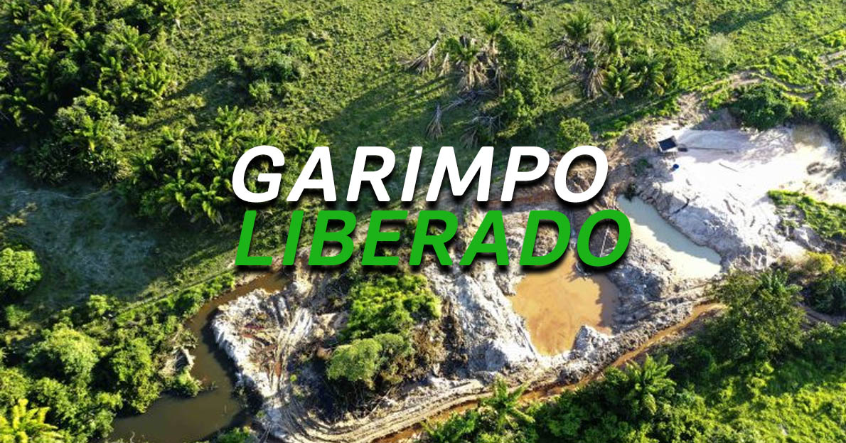 Agência autoriza 870 garimpos em áreas de preservação ambiental, contrariando a lei. Impactos devastadores, afirma especialistas. (Imagem: reprodução)