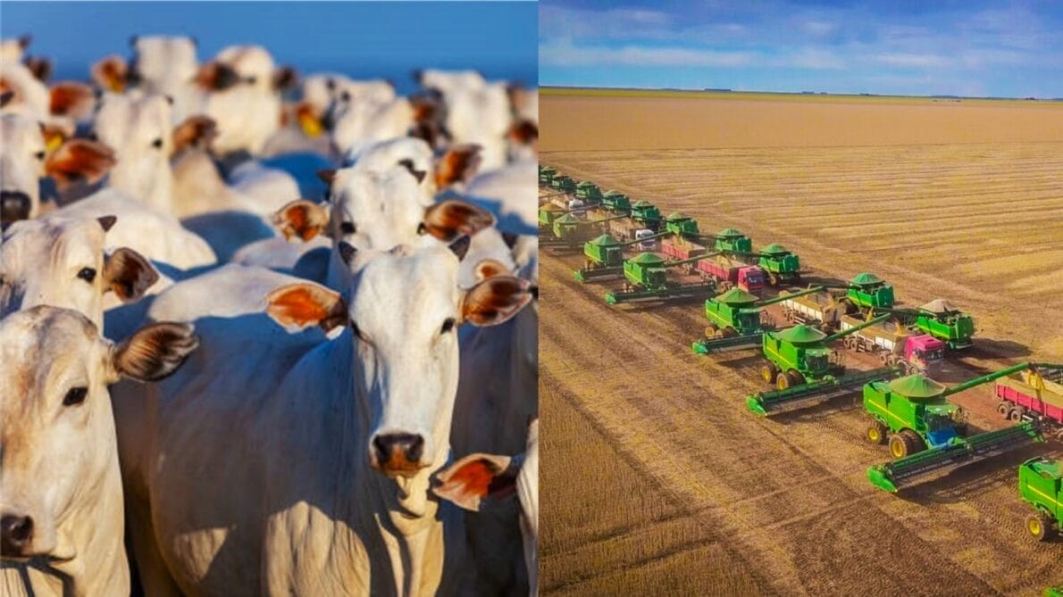 vagas de emprego, agro, nível fundamental