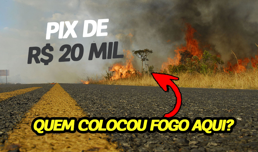 Usina do interior de São Paulo oferece até R$ 20 mil por informação sobre incêndios em canaviais! Foco é claro: levar à prisão os responsáveis por incêndios sem precedentes registrados no estado