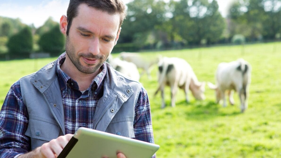 cursos, sebrae, cursos gratuitos