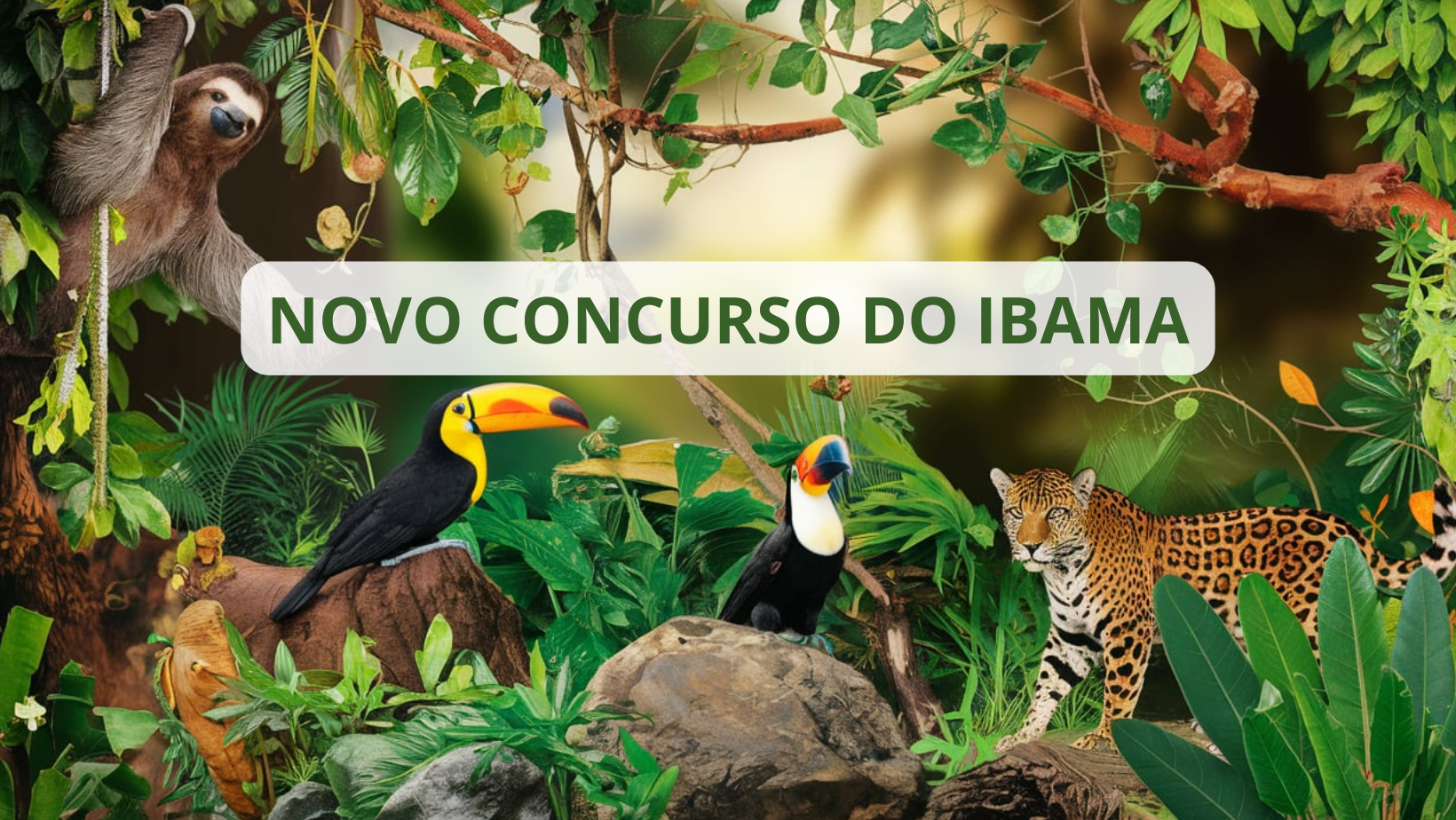 ibama, processo seletivo, concurso