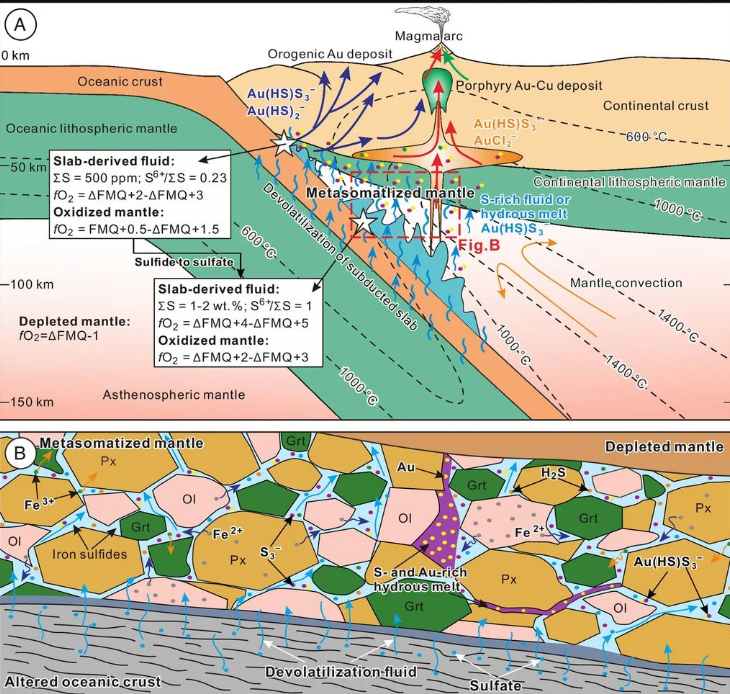 Essa imagem mostra como o ouro é transportado do manto terrestre até a superfície em zonas de subducção, onde placas tectônicas colidem e geram magma. O processo ocorre com a ajuda de fluidos ricos em enxofre, que carregam o ouro em sua composição através das camadas da Terra.