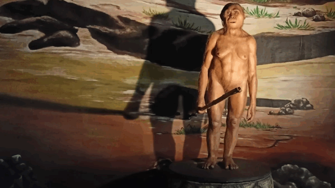 hobbits - descoberta - curiosidades - hominídeo