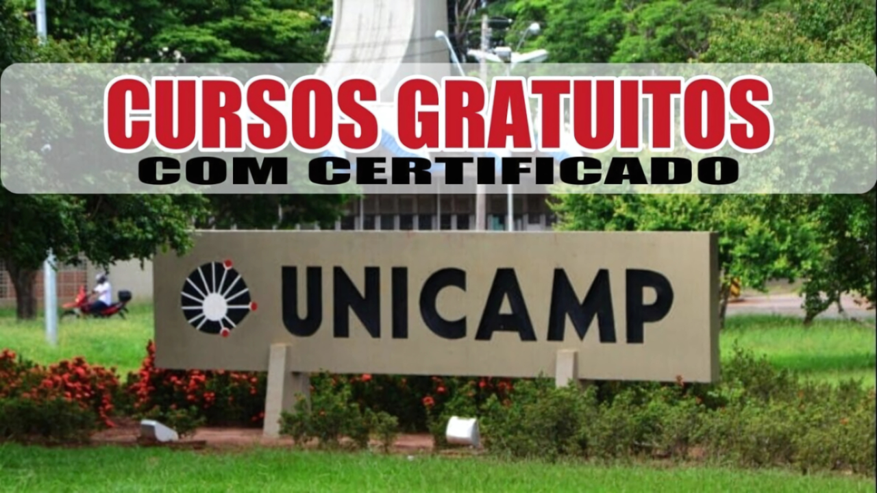 Confira os cursos gratuitos EAD da Unicamp, com vagas abertas em áreas como logística, pensamento crítico e ciência de dados.