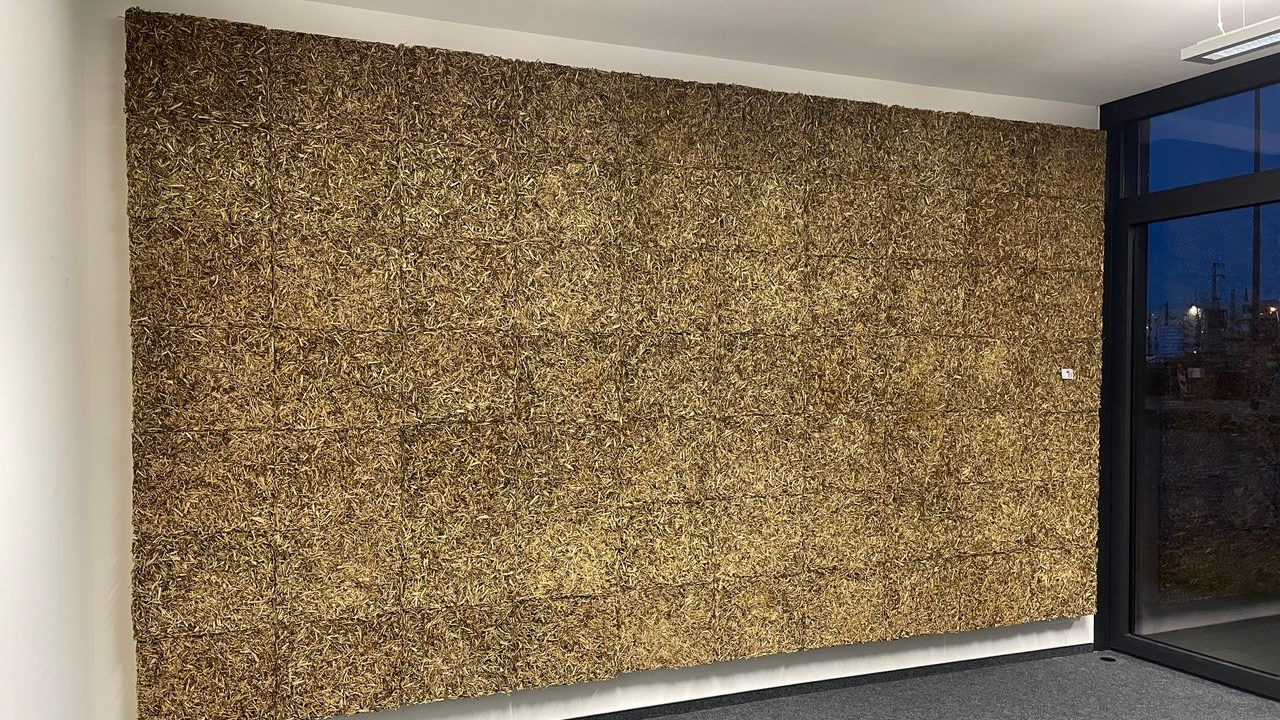 Painéis feitos com lúpulo de cerveja pela HopfOn