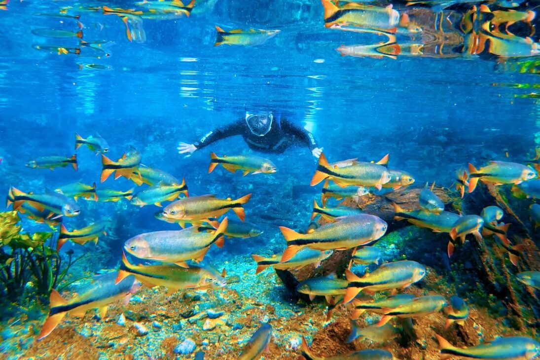 Mato Grosso do Sul cresce como nunca! Com turismo incrível, qualidade de vida e economia forte, esse estado parece de outro planeta!