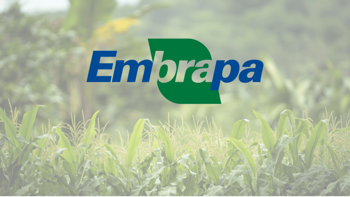 embrapa - curso gratuito - sistrmas agroflorestais - agro