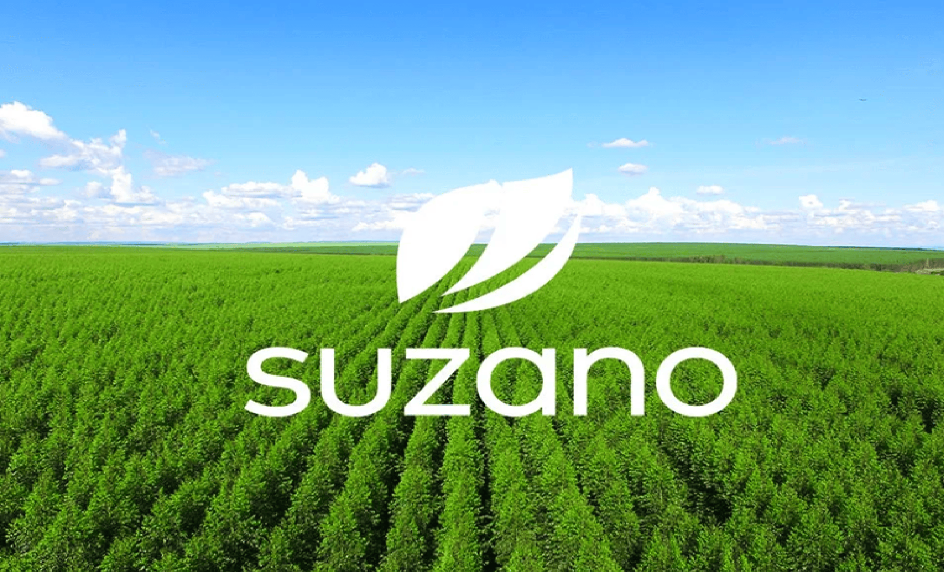 suzano, vagas, oprotunidade