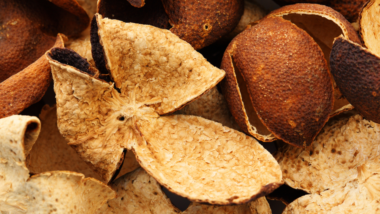 Cascas de tangerina secas