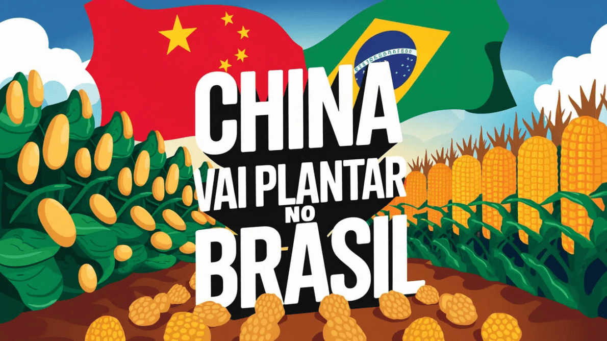 China inicia produção de soja e milho no Brasil com tecnologia de ponta e bilhões em investimentos, marcando nova era no agronegócio.