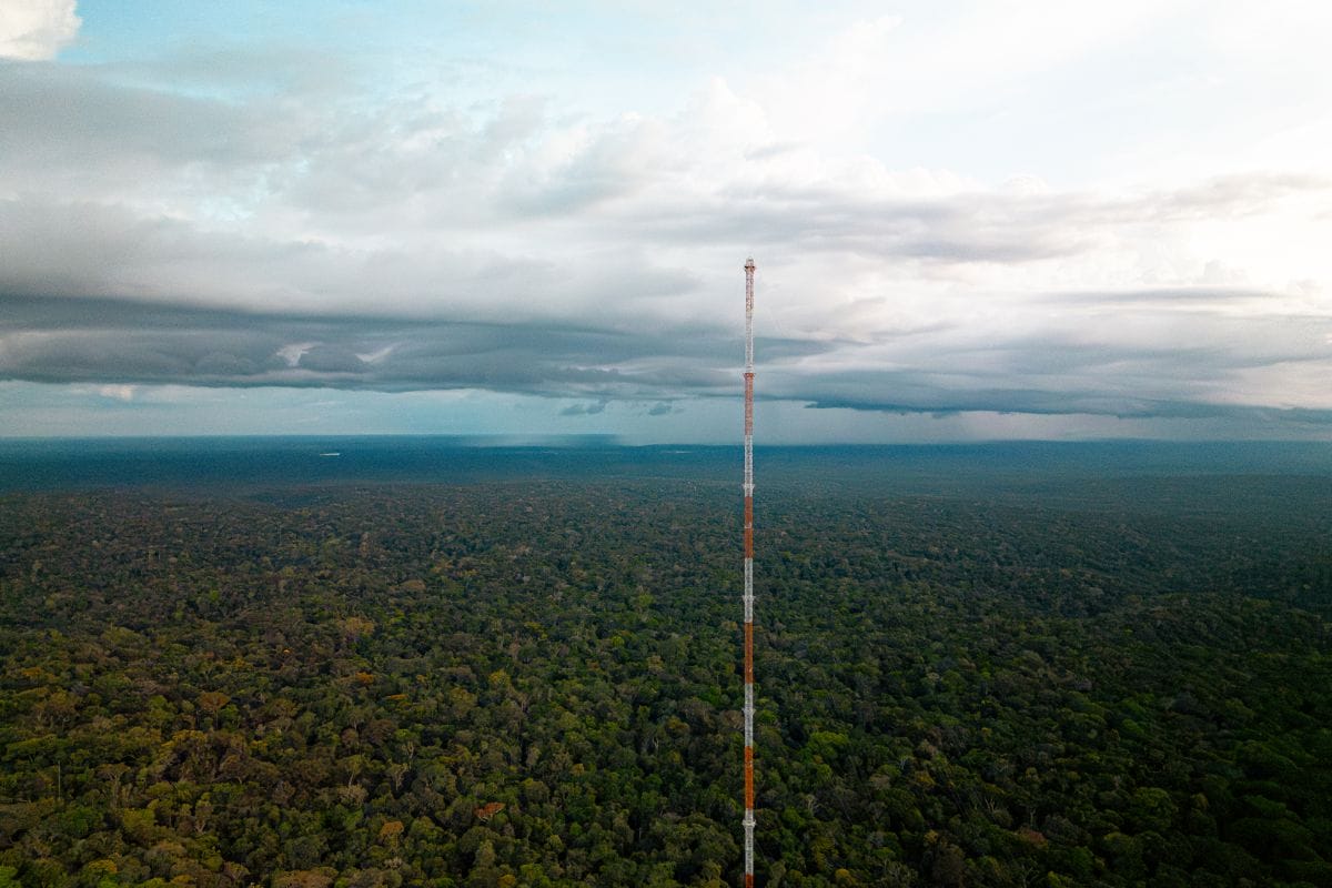 ATTO: A torre de observação da Amazônia com 325m, mais alta que a Torre Eiffel! Veja como ela monitora o clima e gases da floresta para estudos cruciais