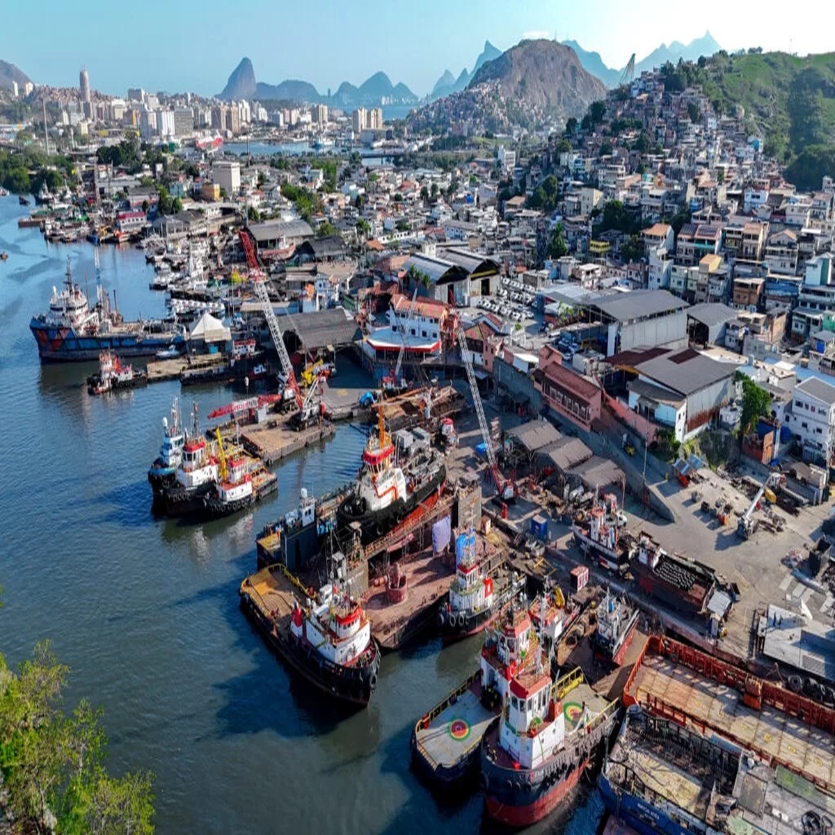 Vista aérea de estaleiros e embarcações atracadas no litoral urbano de Niterói, com infraestrutura industrial e moradias ao fundo