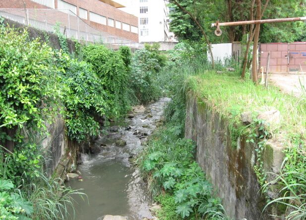 Rio Maracanã: atravessa bairros como Tijuca e Maracanã, integrando a sub-bacia do Canal do Mangue. Foi significativamente canalizado e, em trechos, encoberto, contribuindo para enchentes na Praça da Bandeira. Foto/Wikipedia
