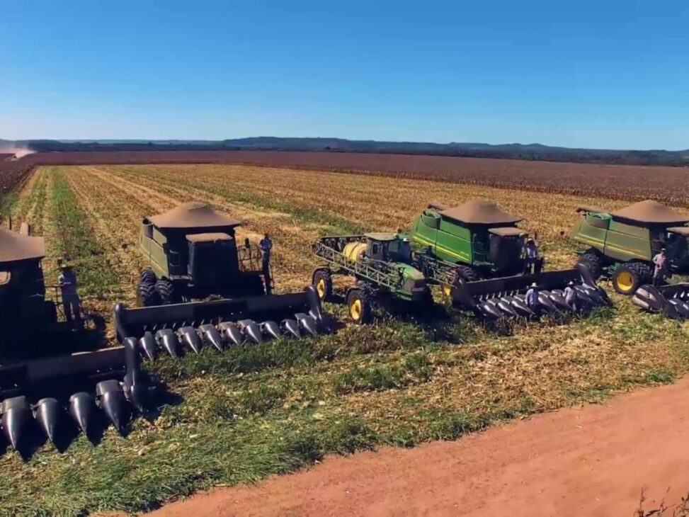 A maior fazenda de milho do Brasil que supera 130 mil hectares e colheitas de mais de 1 milhão de toneladas anuais, impulsionando o agronegócio nacional