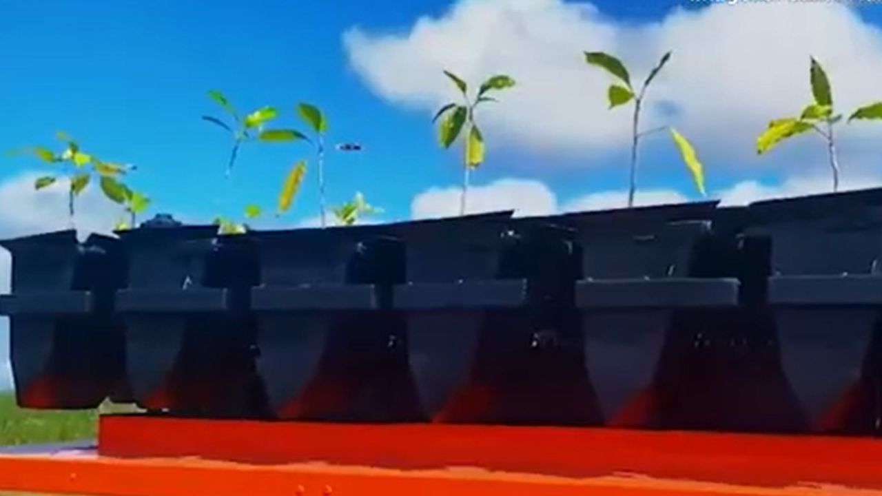 A startup brasileira que desenvolveu um robô terrestre que planta mais de 14 mil árvores por dia