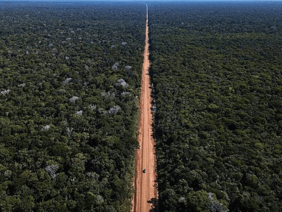 Como é percorrer a polêmica estrada de 4.000 km que corta a maior floresta do mundo