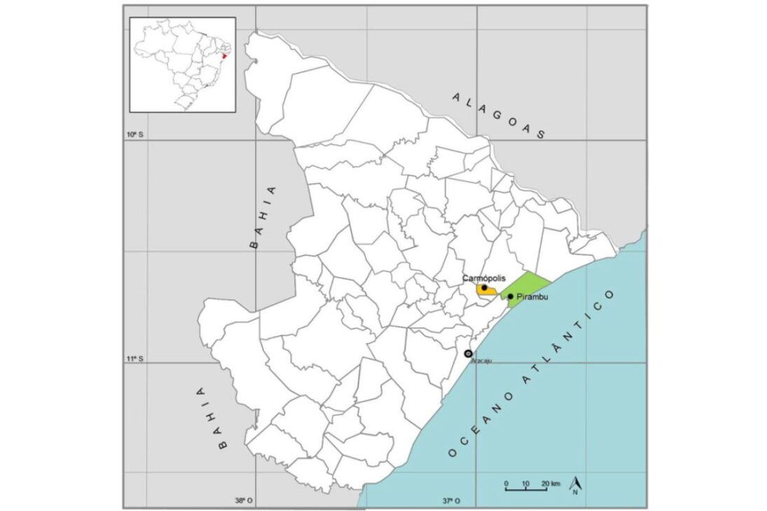 Esse é o campo de petróleo vendido pela Petrobras que dobrou a produção com nova dona