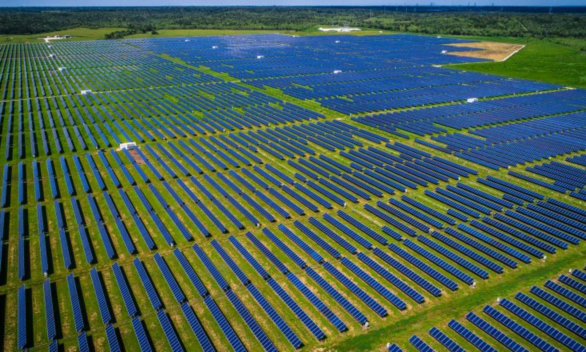 Vista aérea de usina solar com centenas de painéis fotovoltaicos em área verde