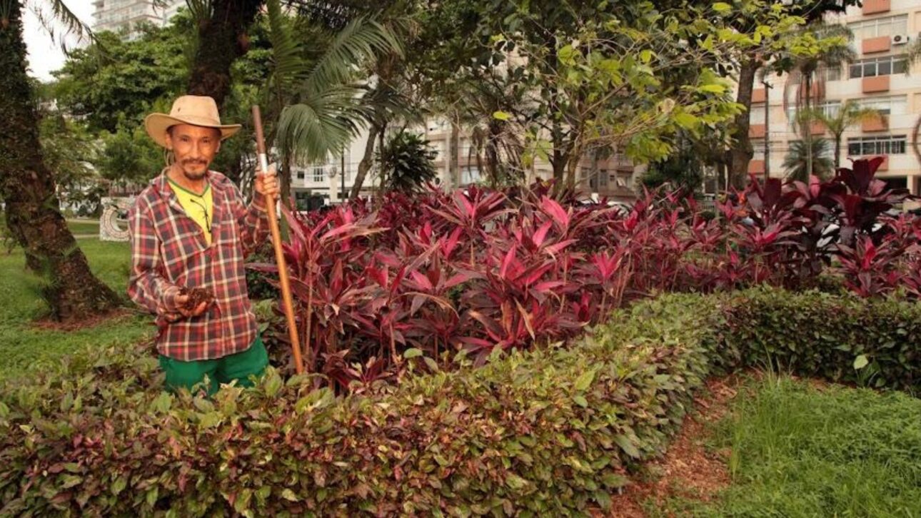 Conheça o maior jardim de praia do planeta em Santos: área verde recordista, paisagismo e 1.746 árvores em plena orla paulista. Descubra mais. (Imagem: arquivo/PMS)