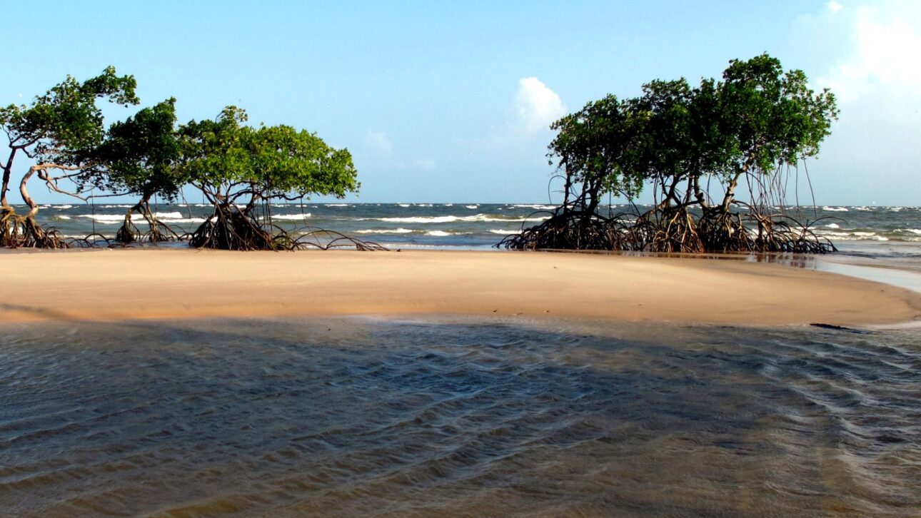 Descubra o Arquipélago do Marajó, destino de luxo silencioso na Amazônia Atlântica, com praias intocadas e experiências exclusivas.