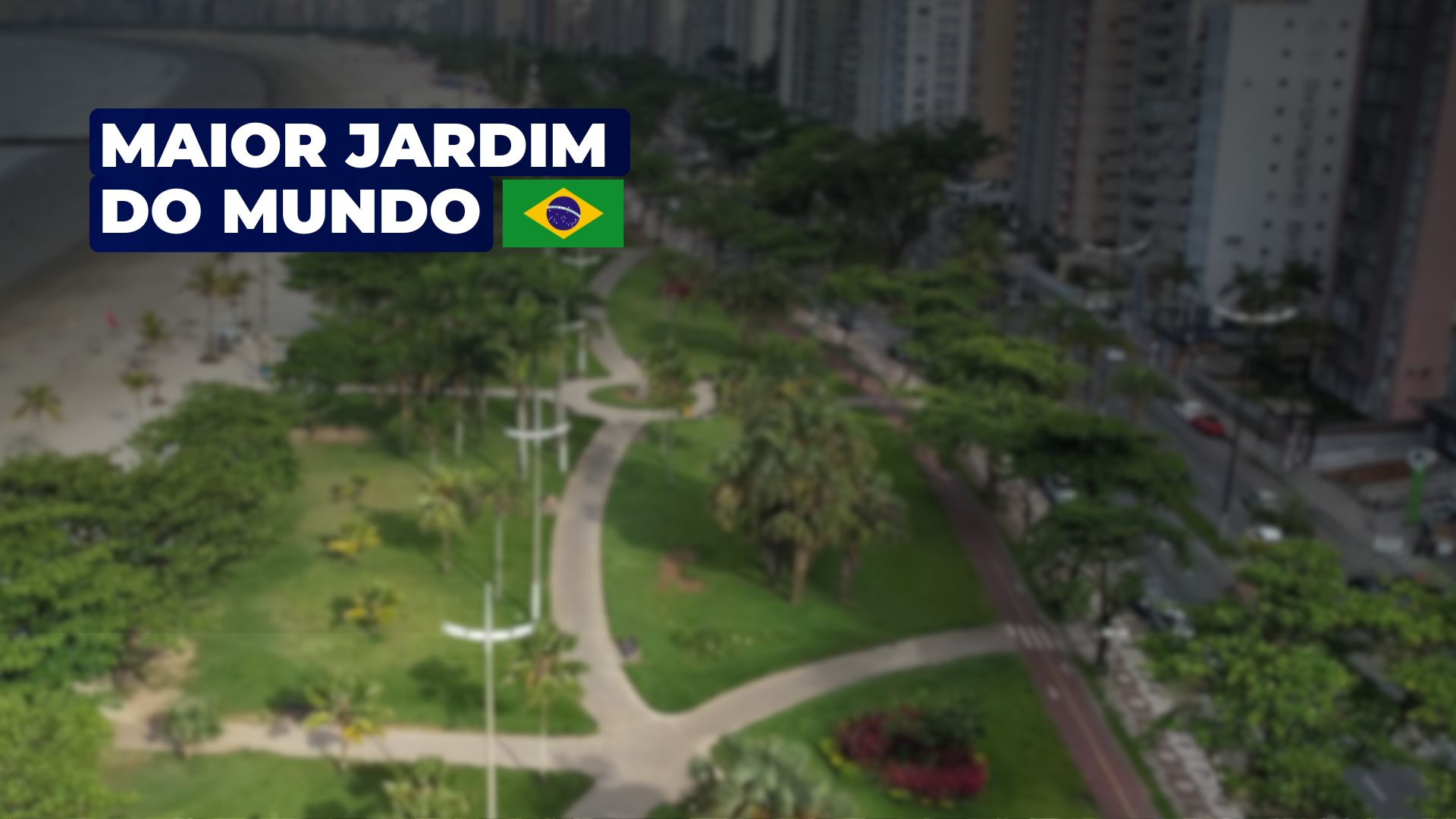 Conheça o maior jardim de praia do planeta em Santos: área verde recordista, paisagismo e 1.746 árvores em plena orla paulista. Descubra mais. (Imagem: arquivo/PMS)